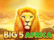 Big 5 Africa
